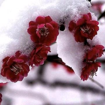 张女士 18704333450