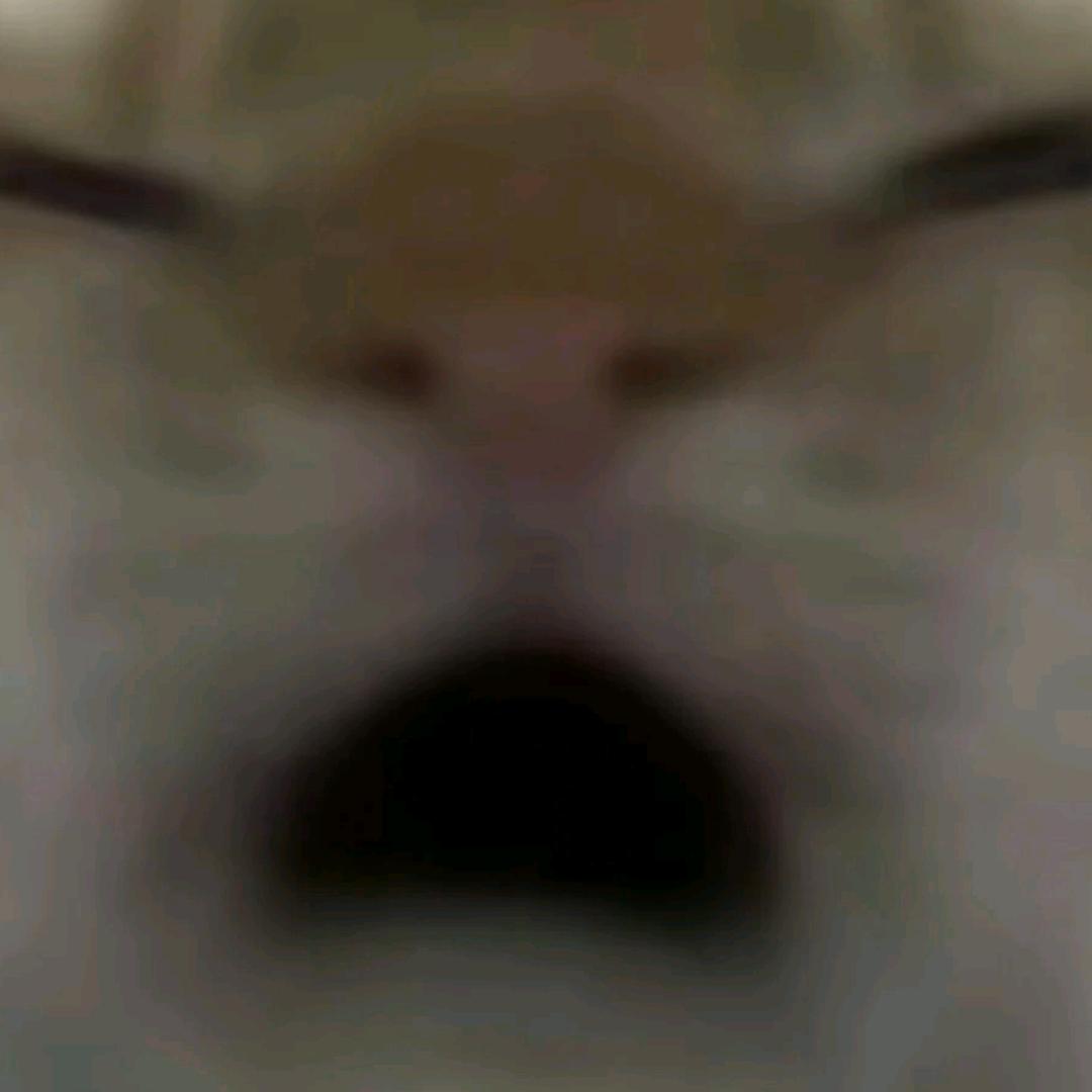 三角洲小老鼠