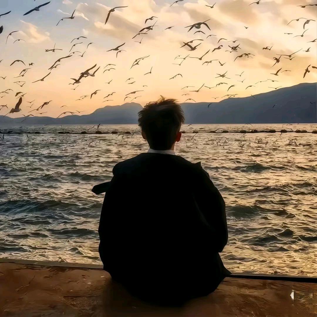 雨辰