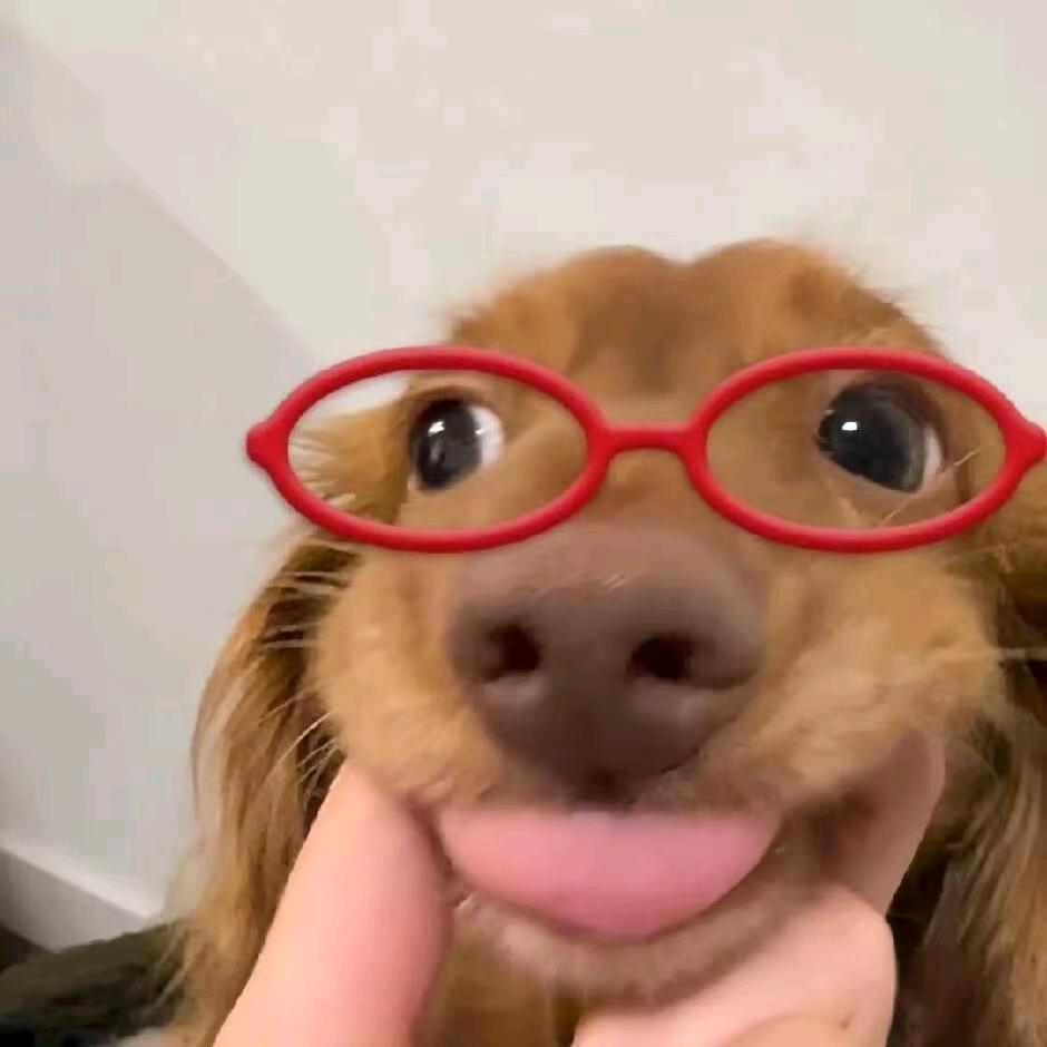 诺诺