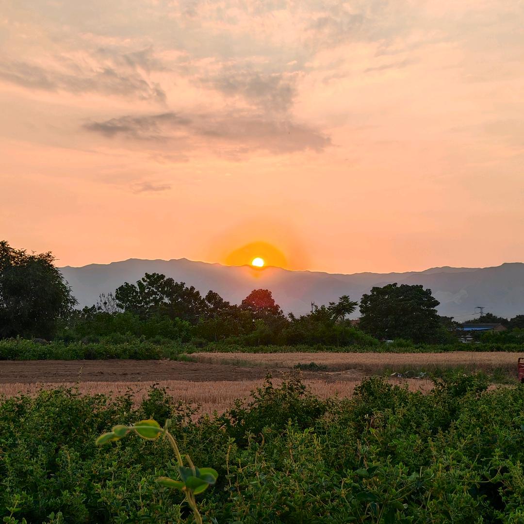 创业小白 （努力）