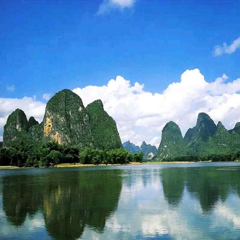 李鲁伟