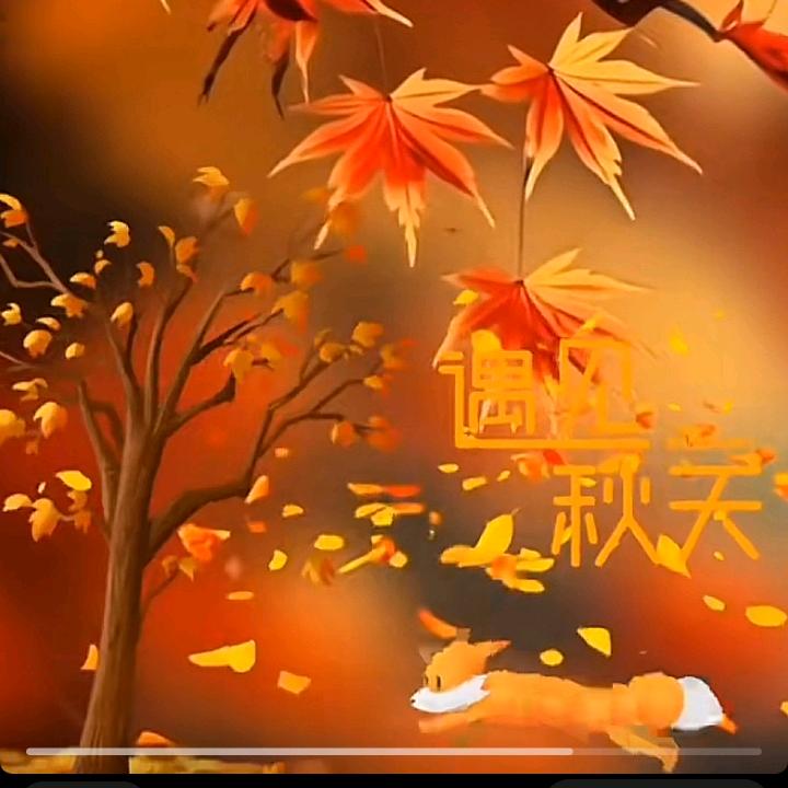 封❣️心✧ʕ̢̣̣̣̣̩̩̩̩·͡˔·ོ