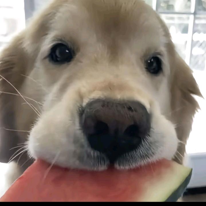 RunnnnnN