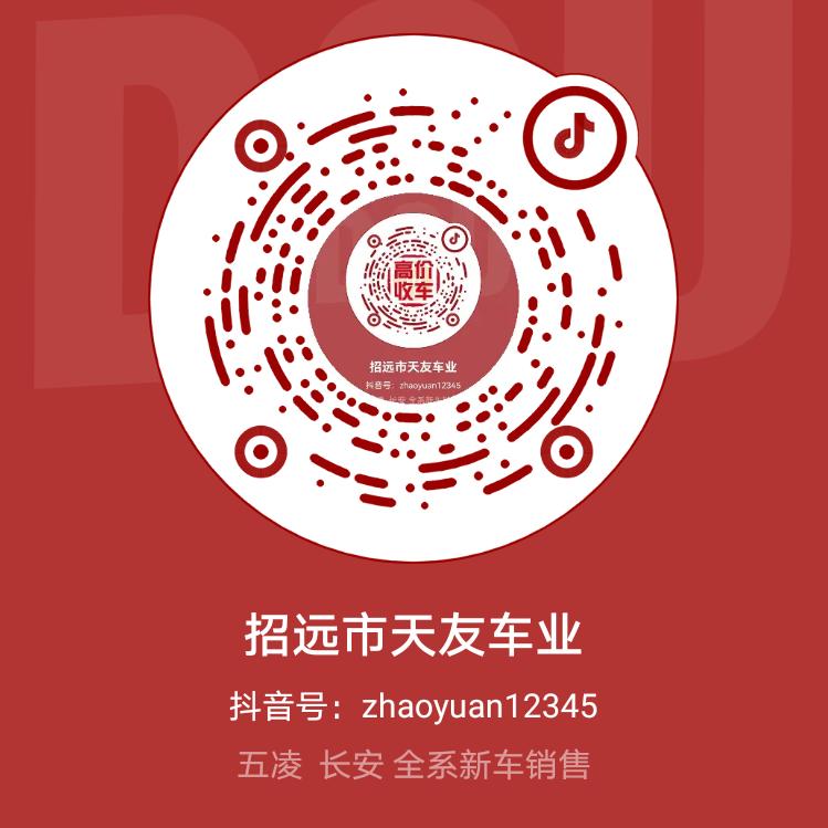 天友车业3