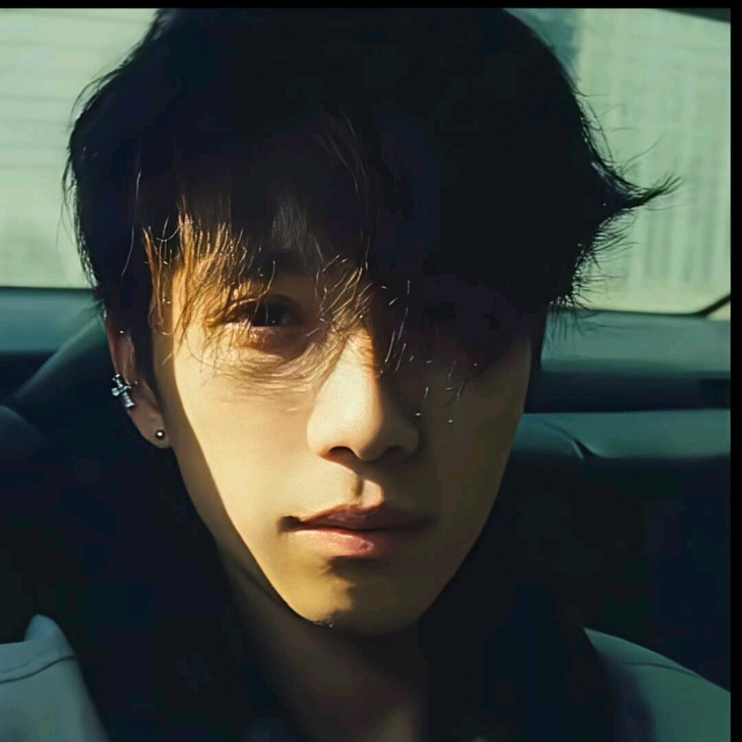 听说那里有海鸥