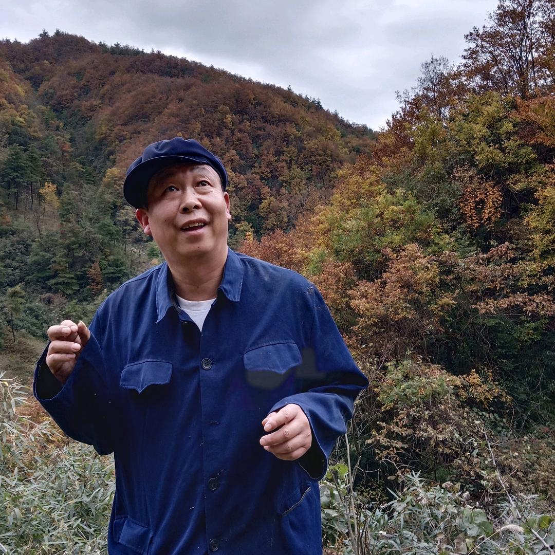 杨林（原创搞笑）