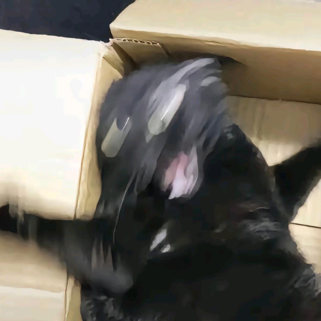 苦包m良🐟不是哭包