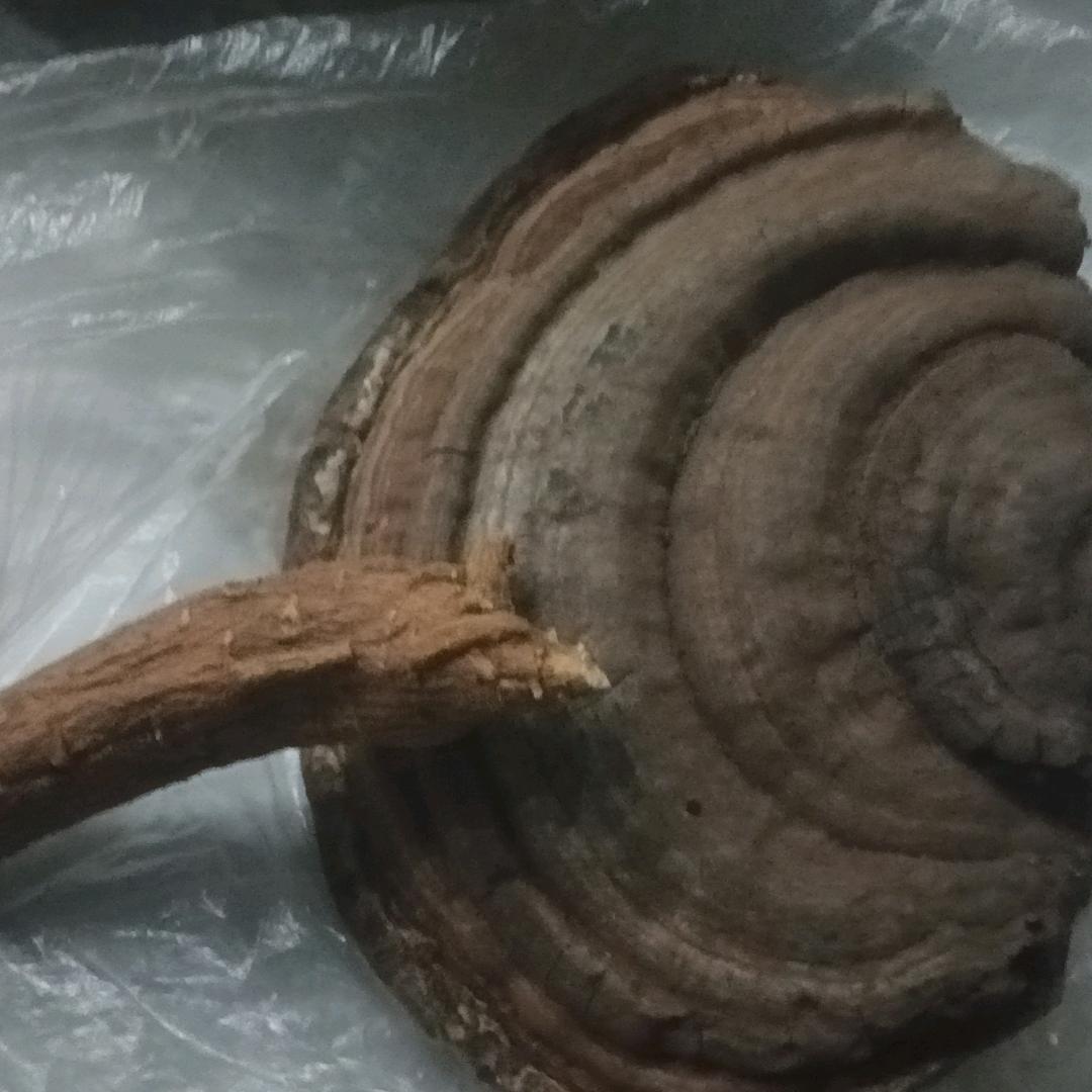 大哥，搬砖