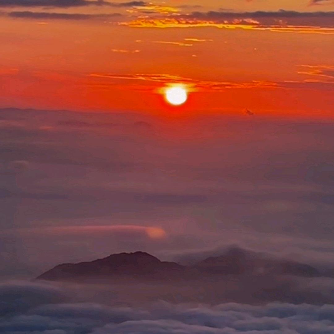 🌈余生向阳🌈