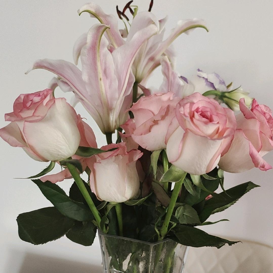 陈姐（好物推荐）