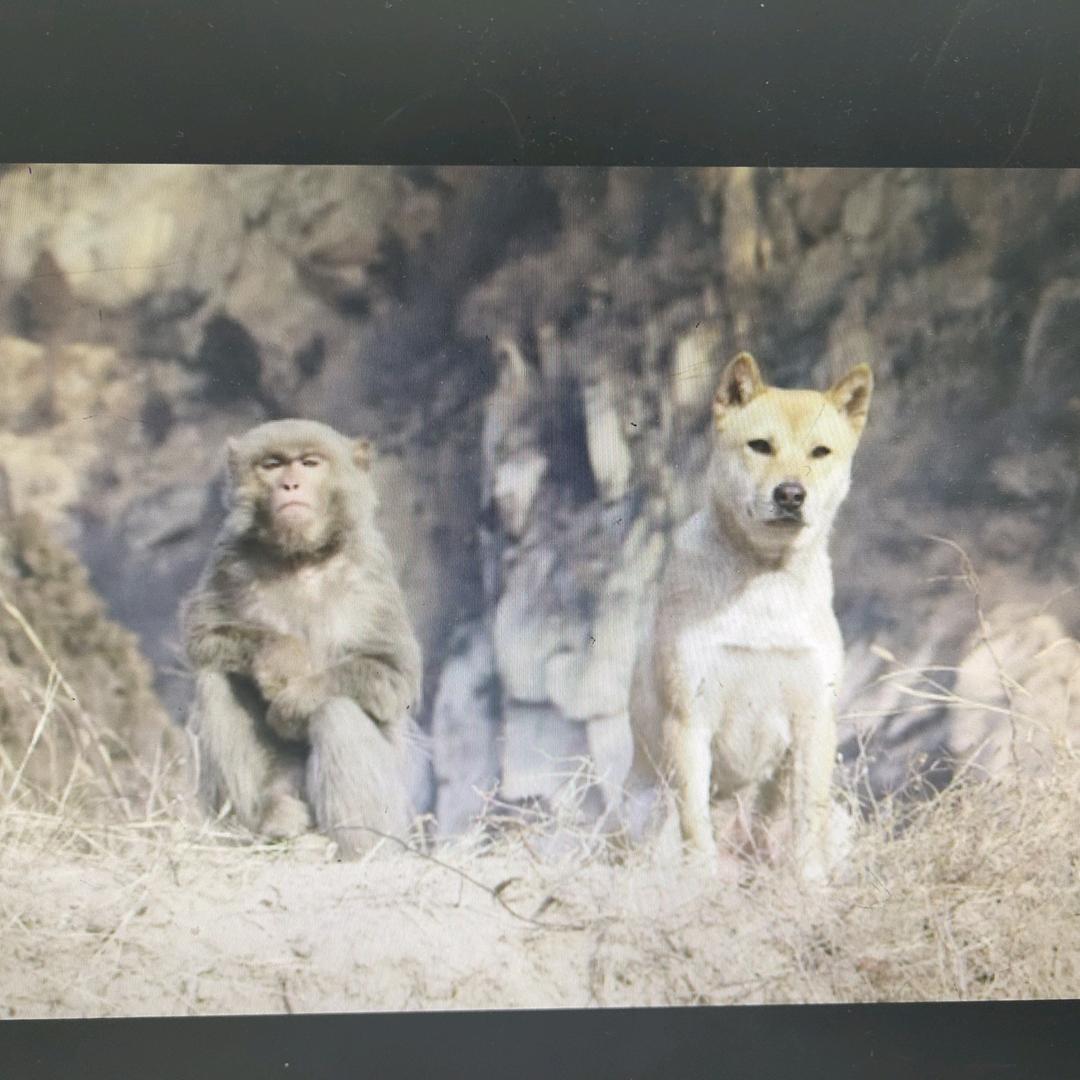 一起看斜阳