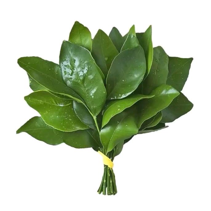 汤圆的成长日记❤