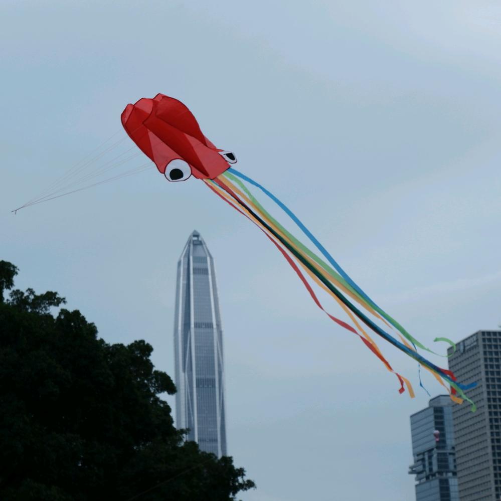 斯莫鸡丝