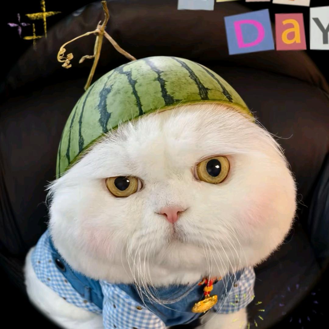 新手就是爱记录