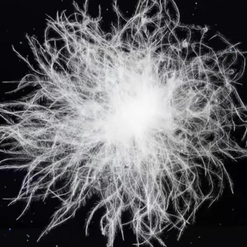 羽绒领域（源头工厂）