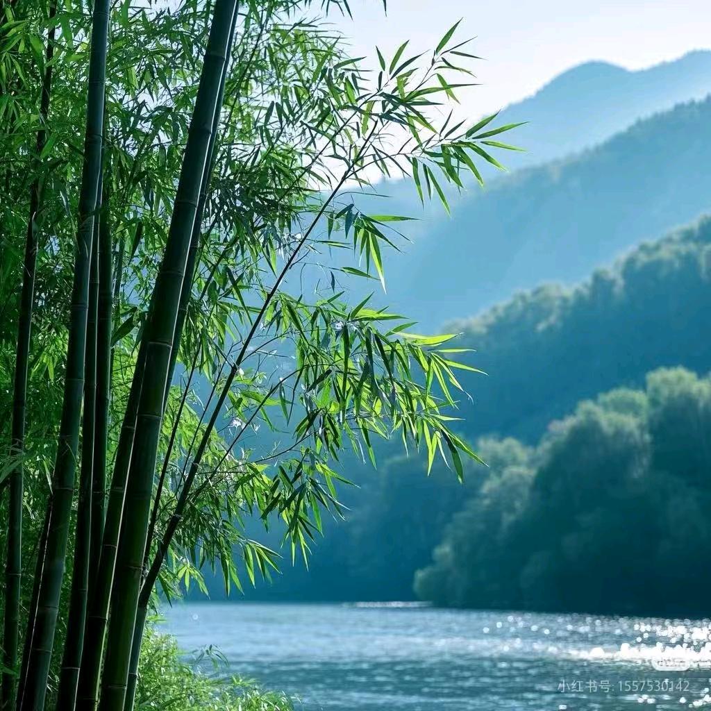 夏雨听澜