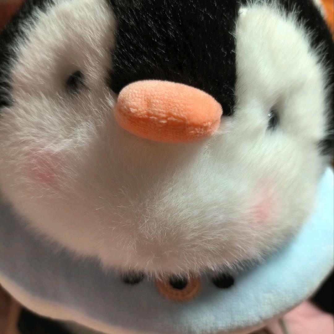 小小（ '▿ ' ）