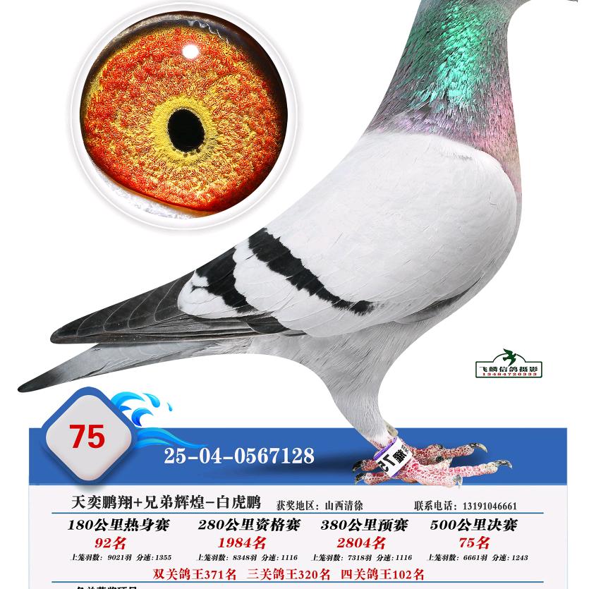 风里雨里，河西等你。