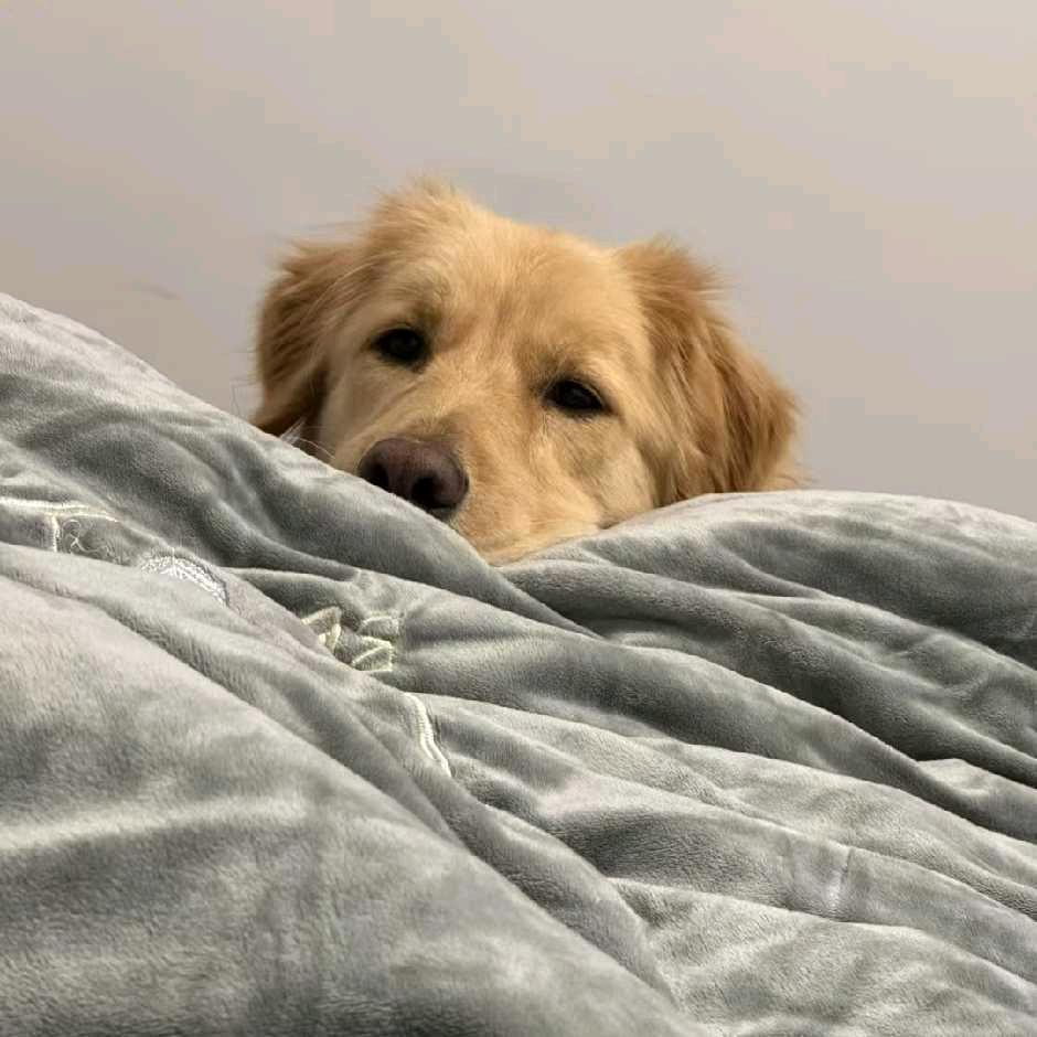 襄州区禧品百货店