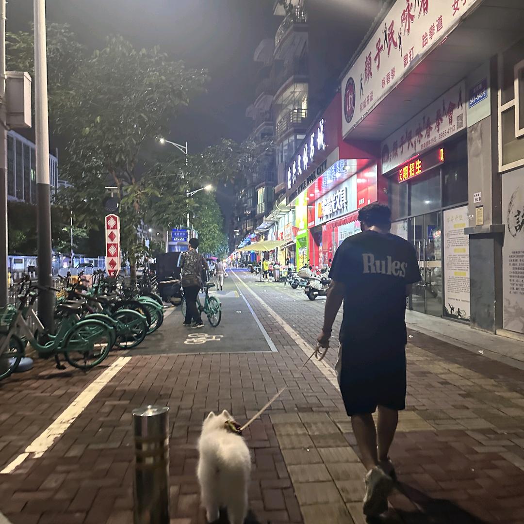 火炬之光昭阳(自律版)