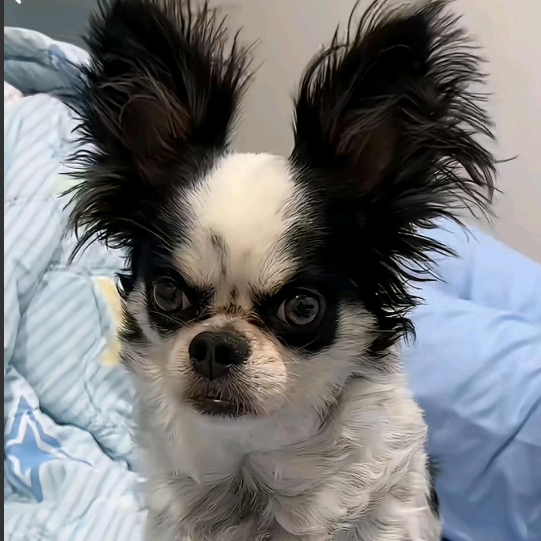 神农御足王府井店