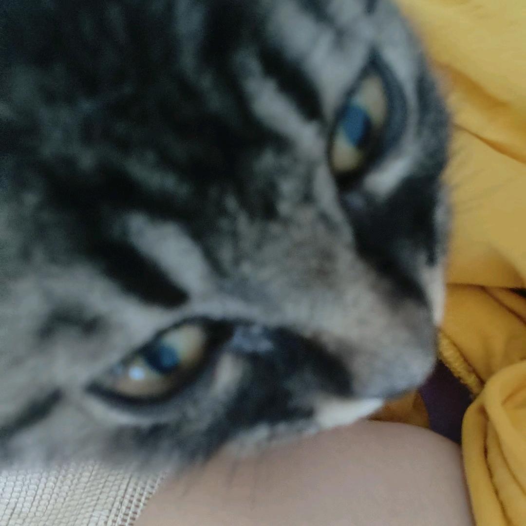 咧咧