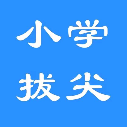 小学语数文数学拔尖资料