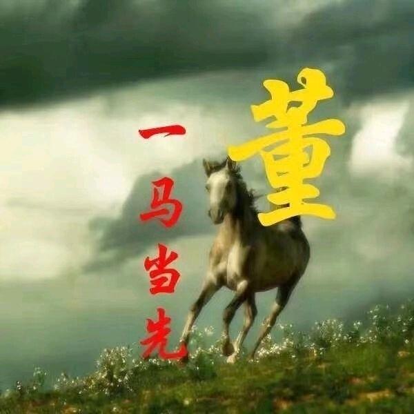 宜昌董哥