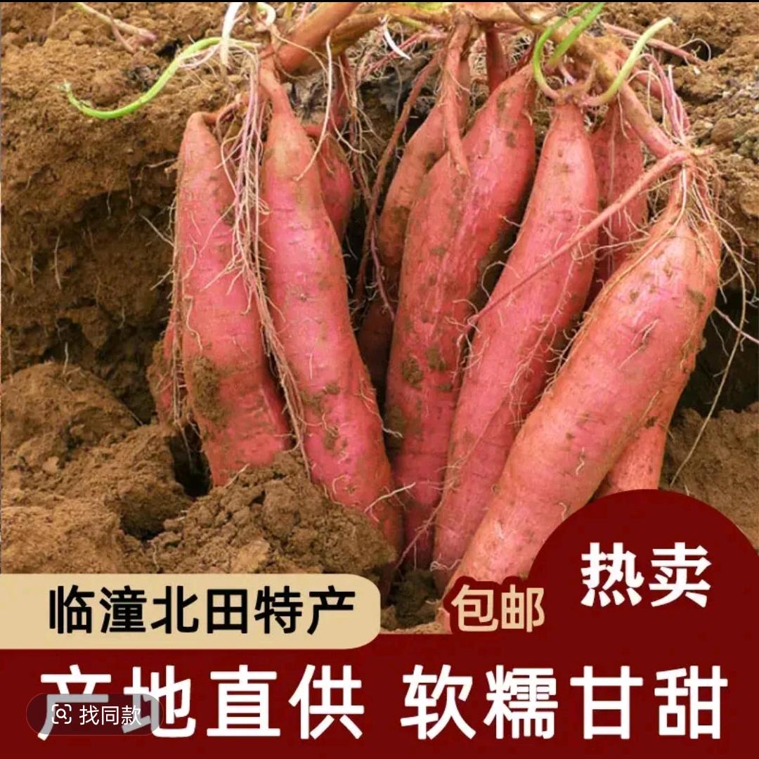 薯气满满