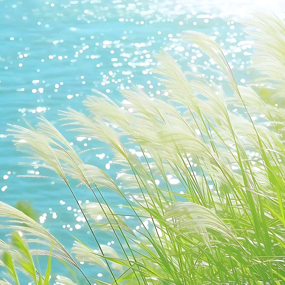 ℳSPtდ