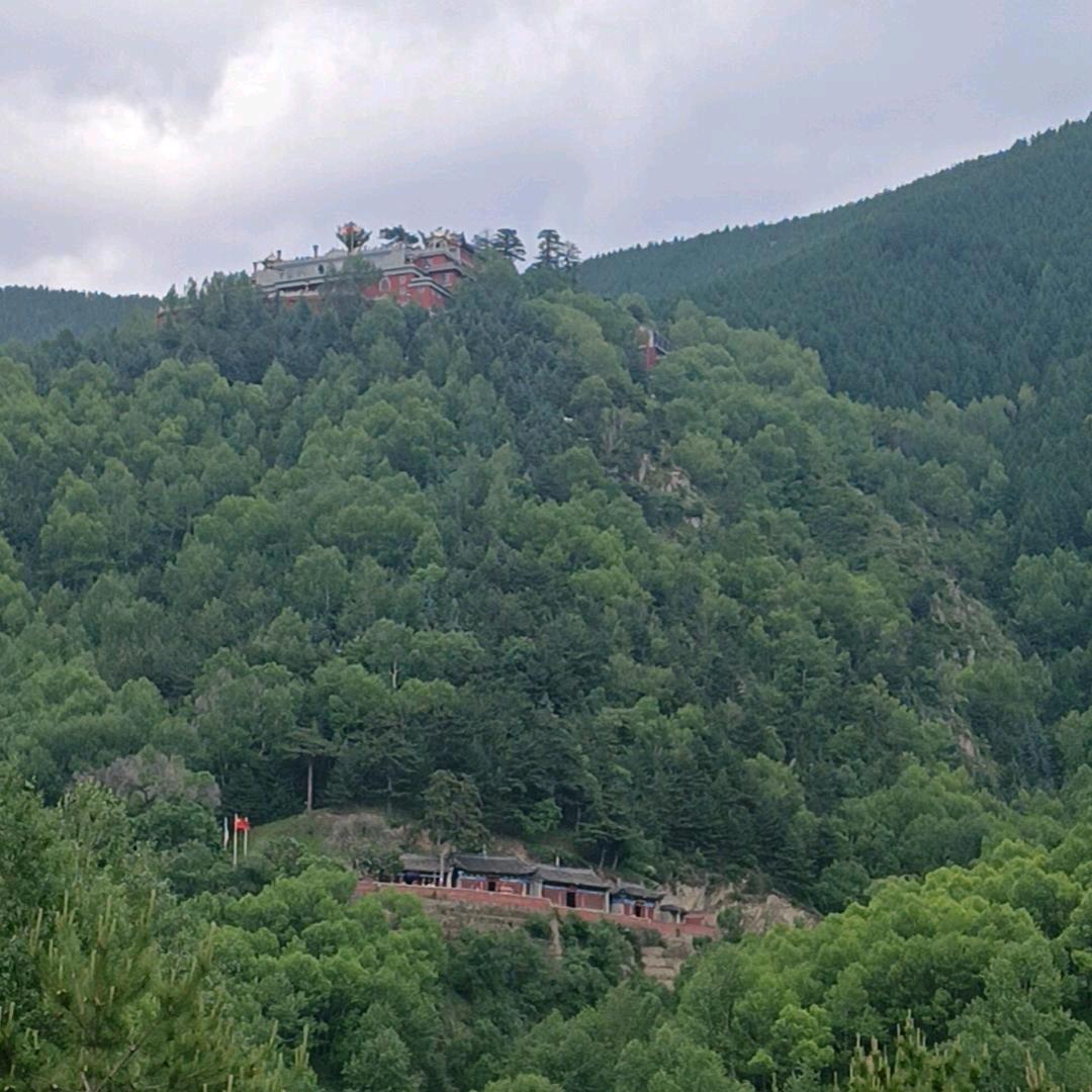 我还未嫁