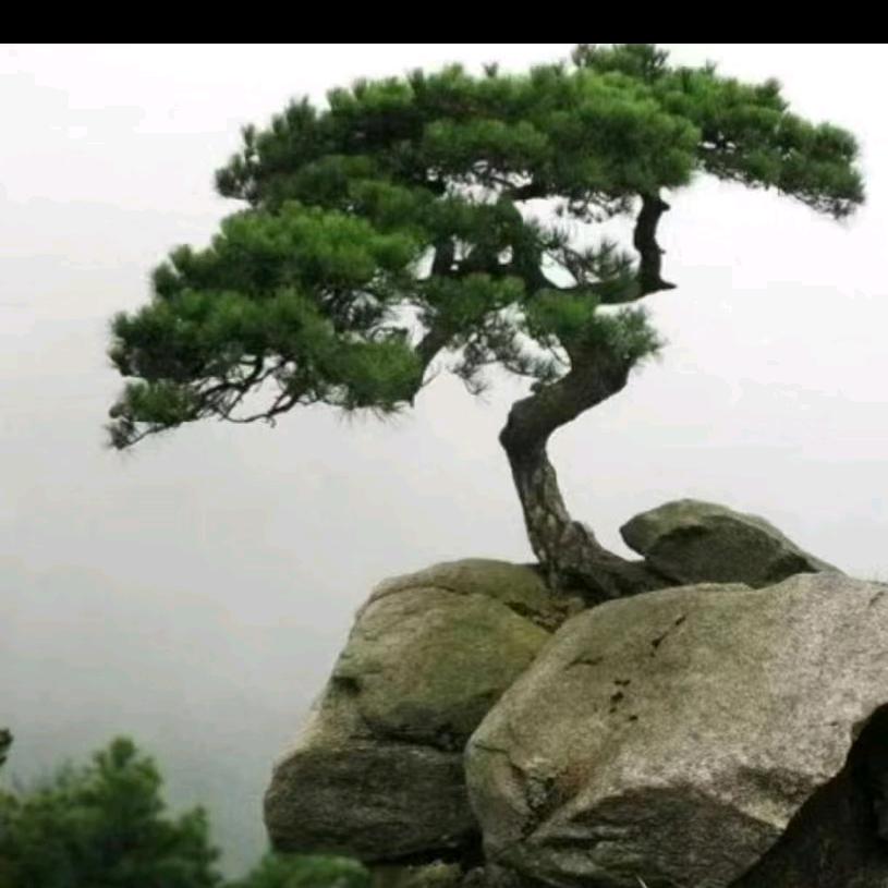 三生吉祥。