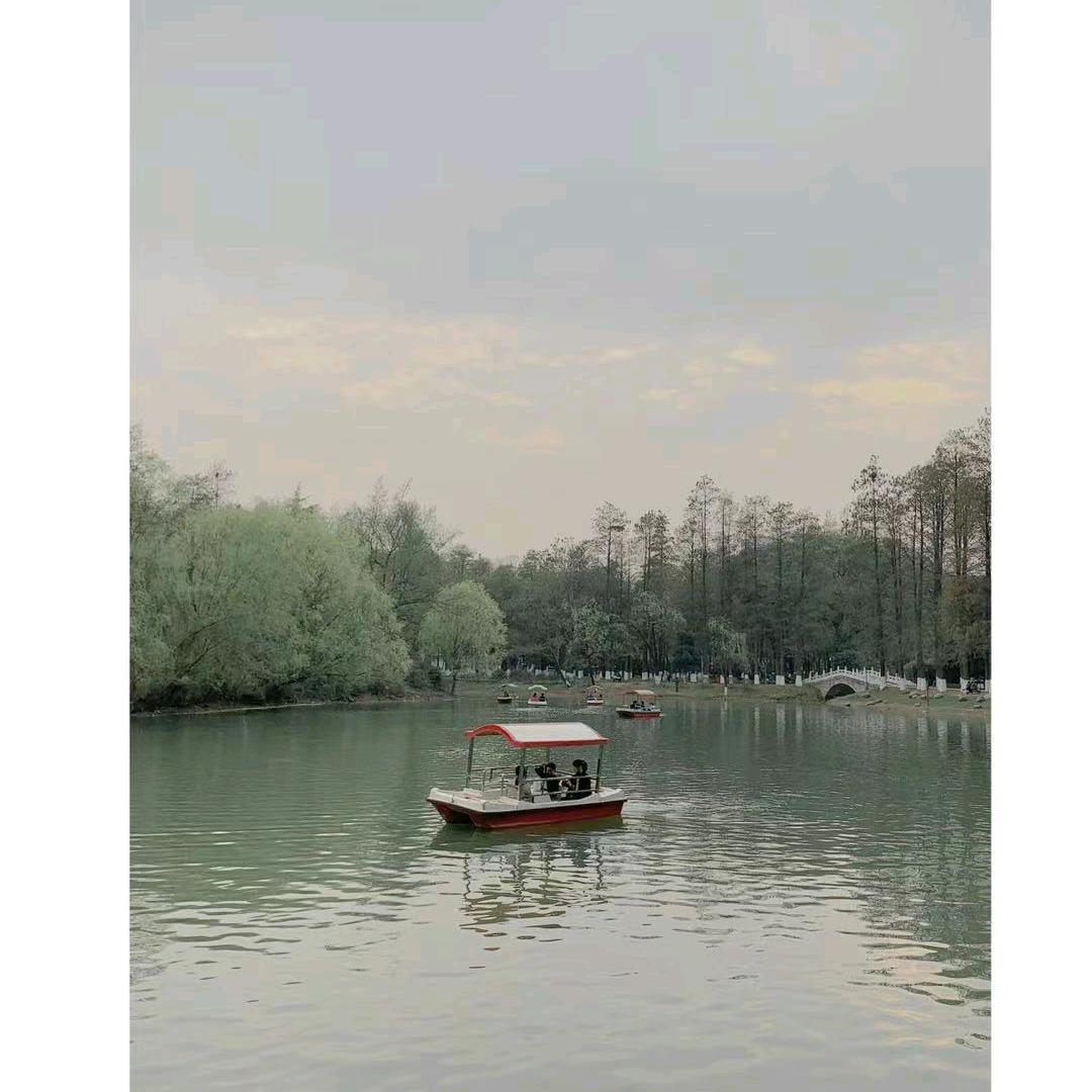 梅姐