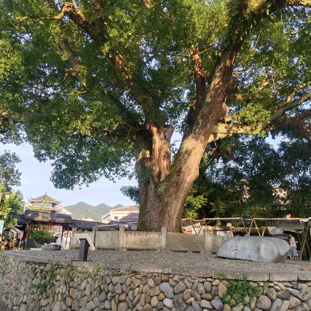 人在旅途