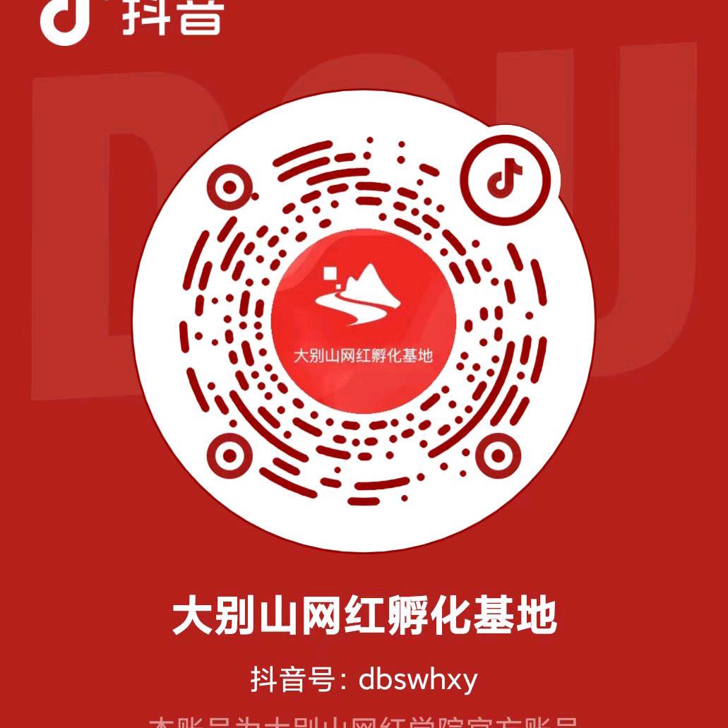 大别山网红孵化基地