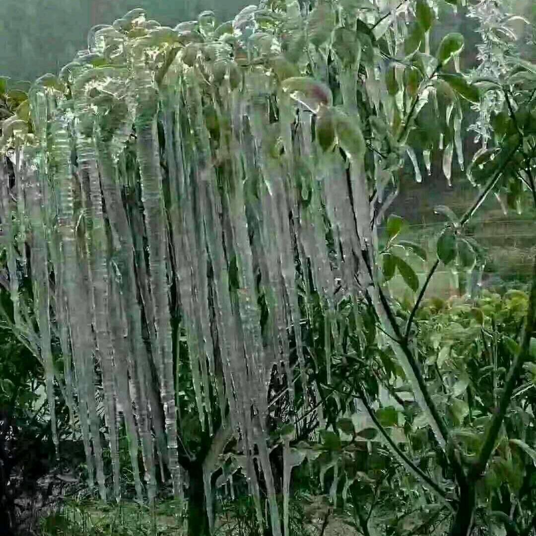 选择失忆