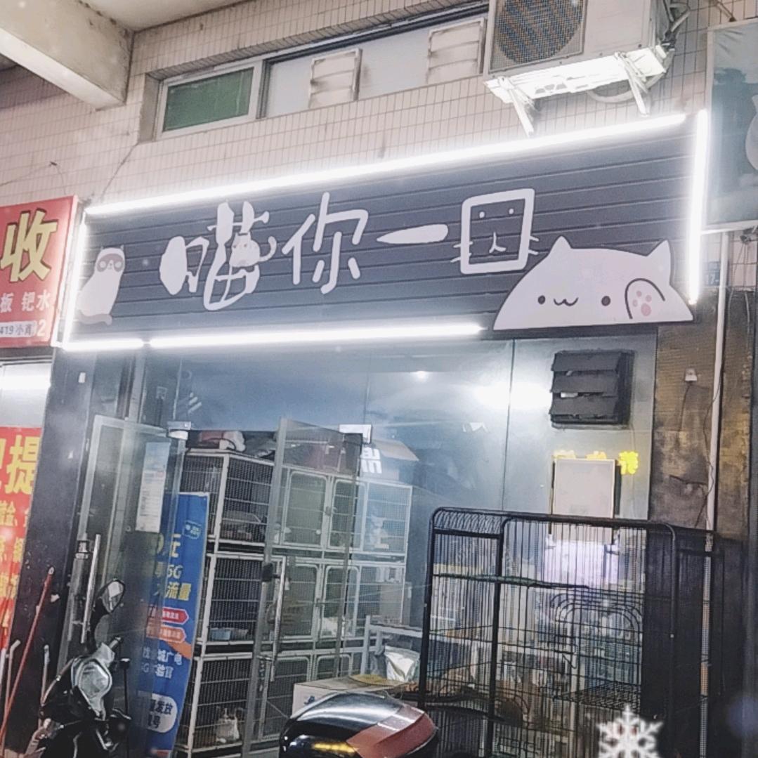 喵你一口