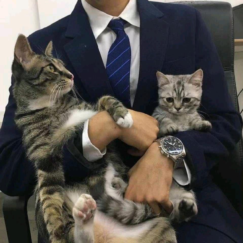 、信了就有