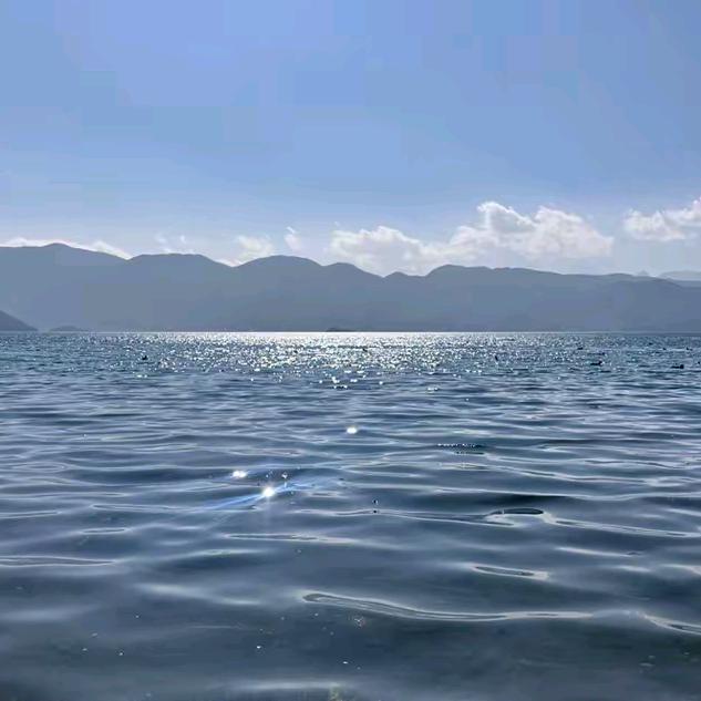 复活甲哥哥