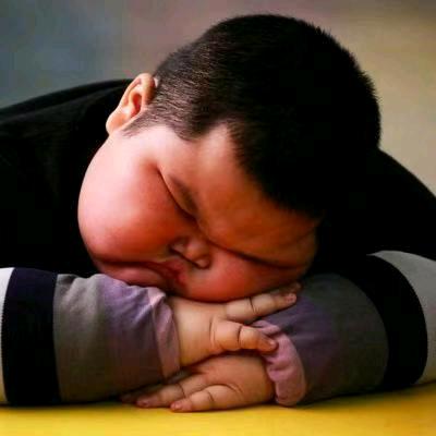 ❤️ 小 胖  墩 ❤️