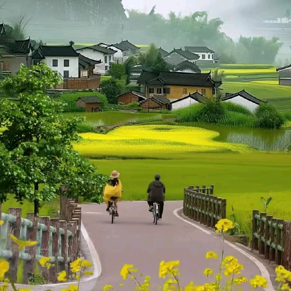 未来可期.