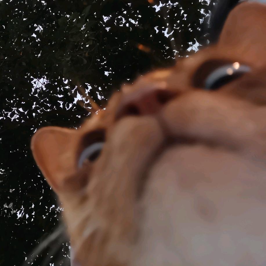 奶包包～（SEHUN宝宝版）