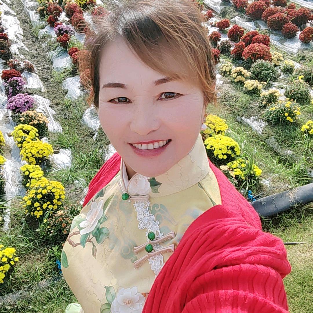 风的镜头若有光