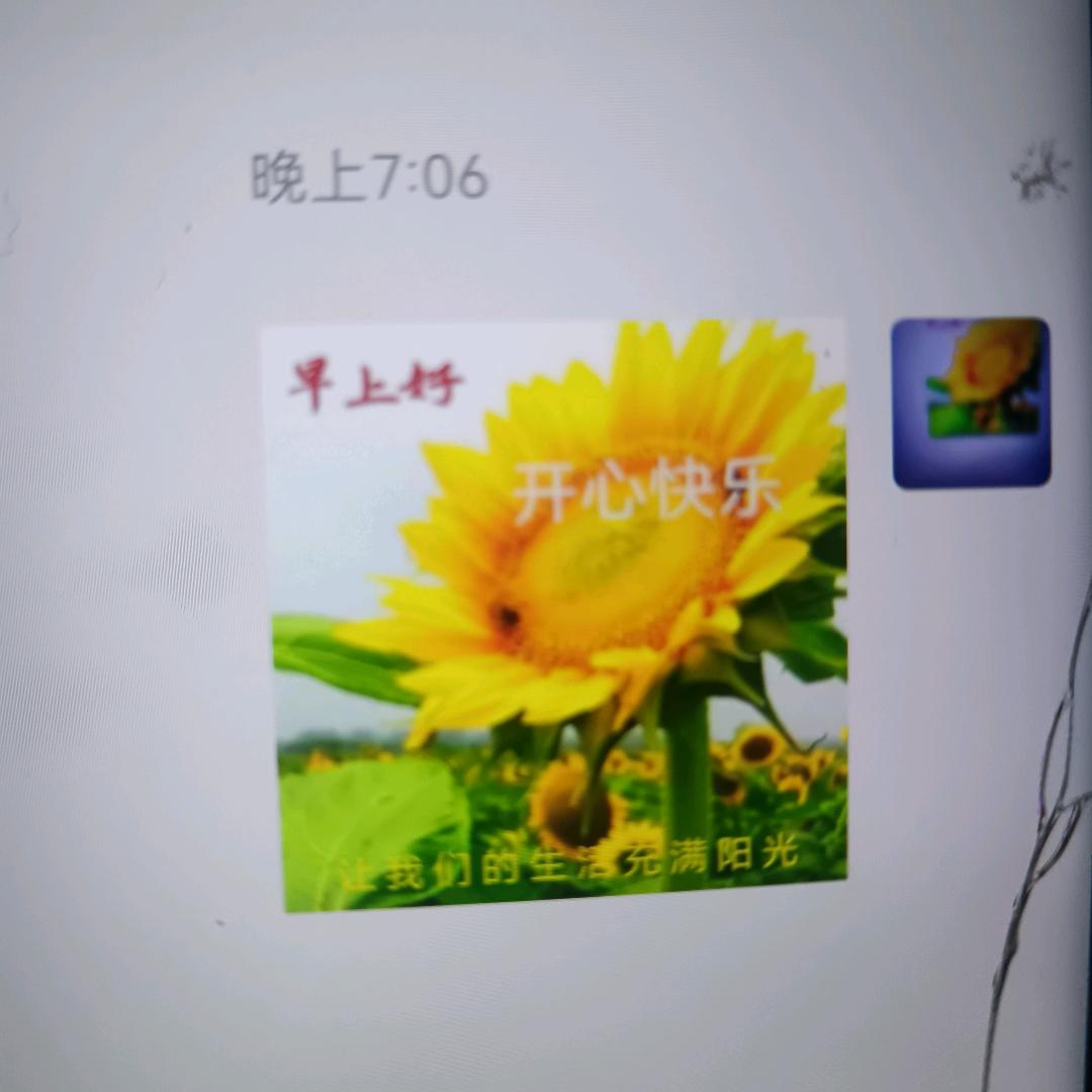 笑对人生;LIP