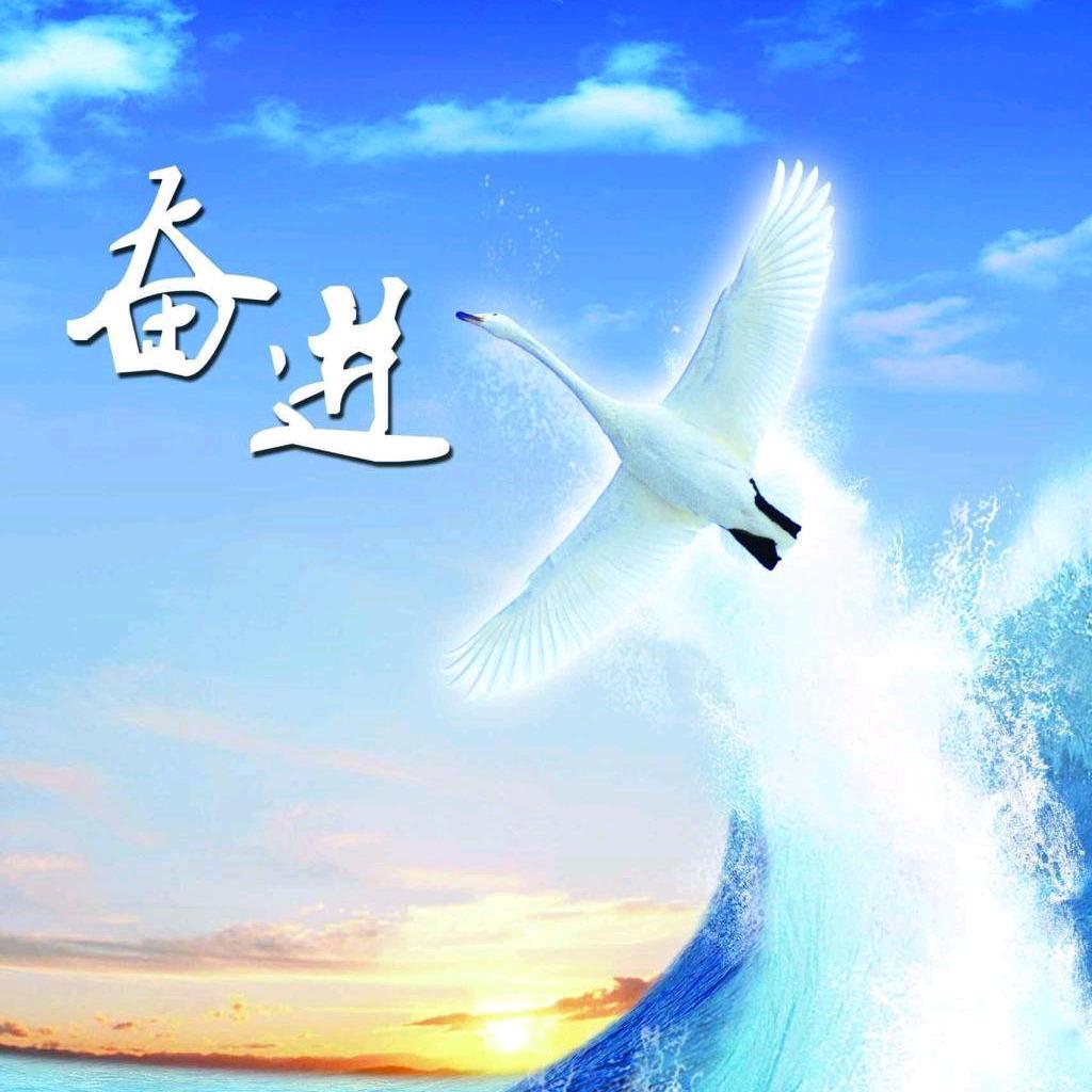 ꧁꫞꯭日行一善