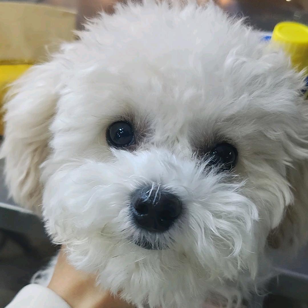 纪远方