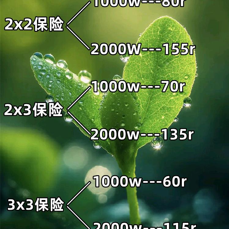 绿色小鼠一枚
