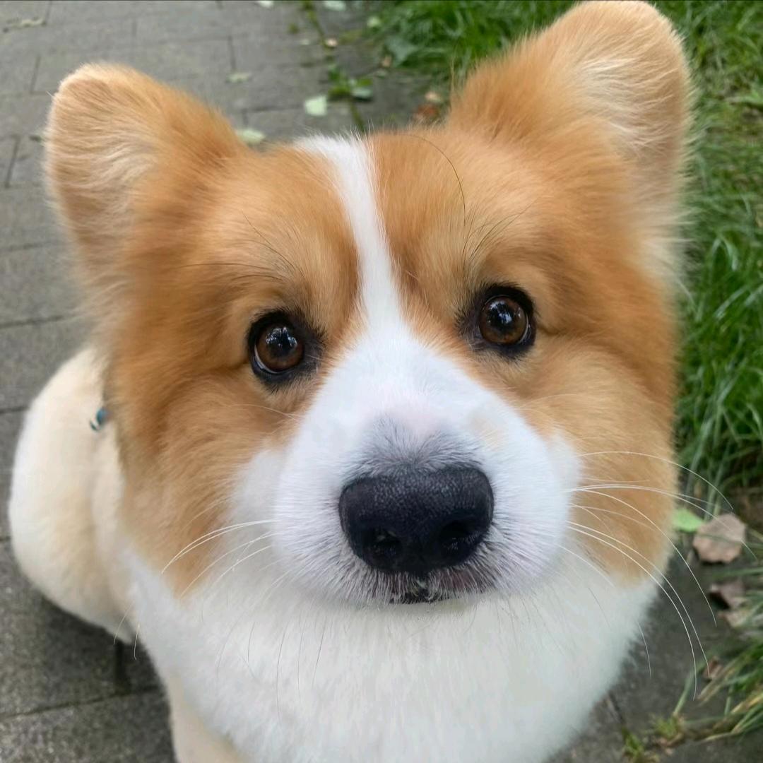 😜