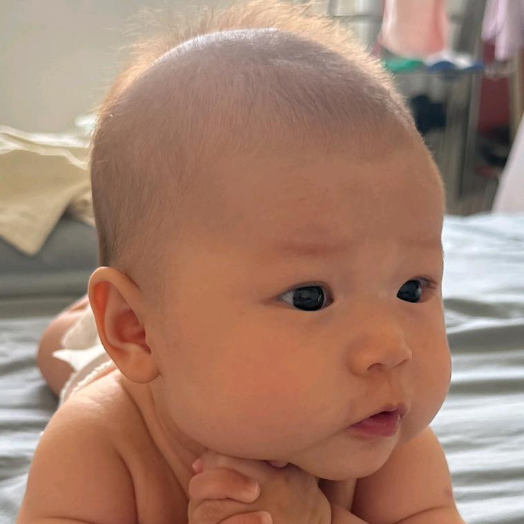 招财猫的小叮当